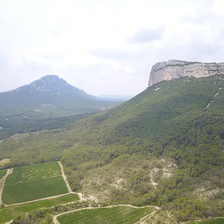 Entre Vignes Et Garrigue *