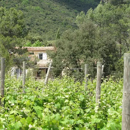 Entre Vignes Et Garrigue *