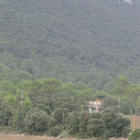 Entre Vignes Et Garrigue Appartement Valflaunes
